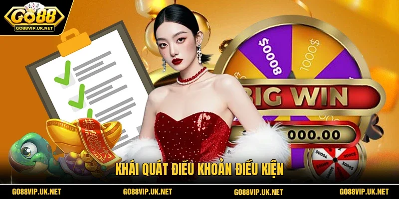 Khái quát điều khoản điều kiện